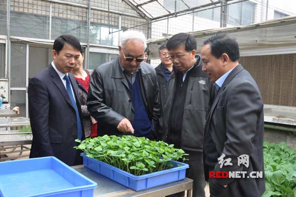 長(zhǎng)沙殺蟲(chóng)劑,長(zhǎng)沙光氣衍生物,長(zhǎng)沙氨基酸保護(hù)劑,長(zhǎng)沙鋰離子電池材料